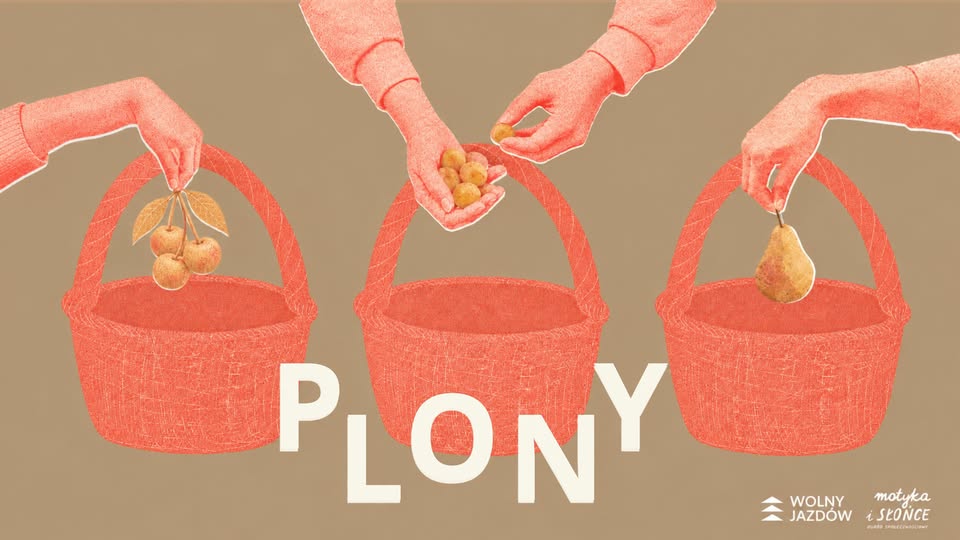 Grafika: Płytki Kolaż - Plony